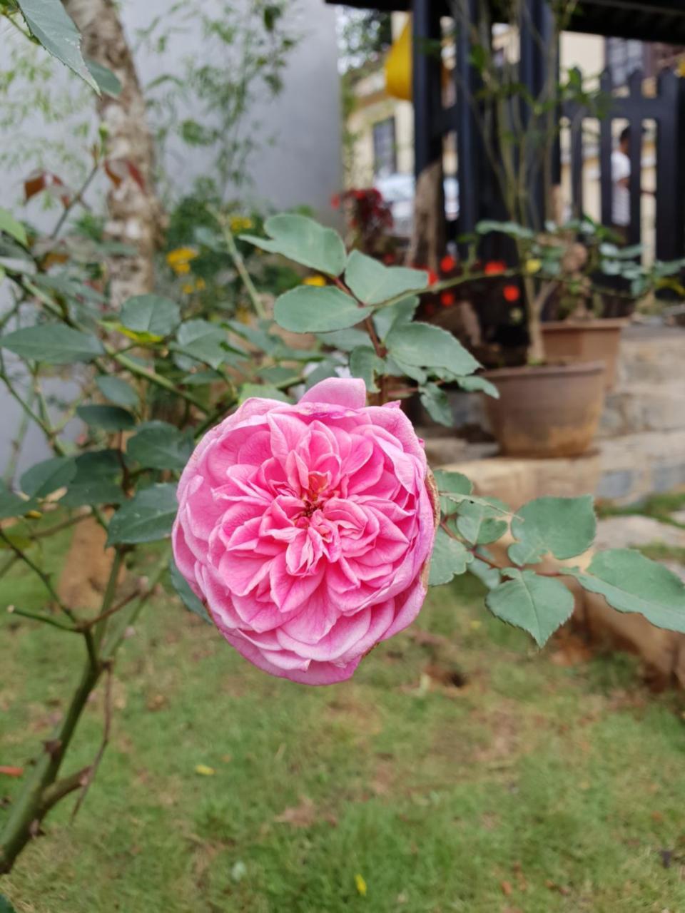 Sapa Charming Homestay Kültér fotó