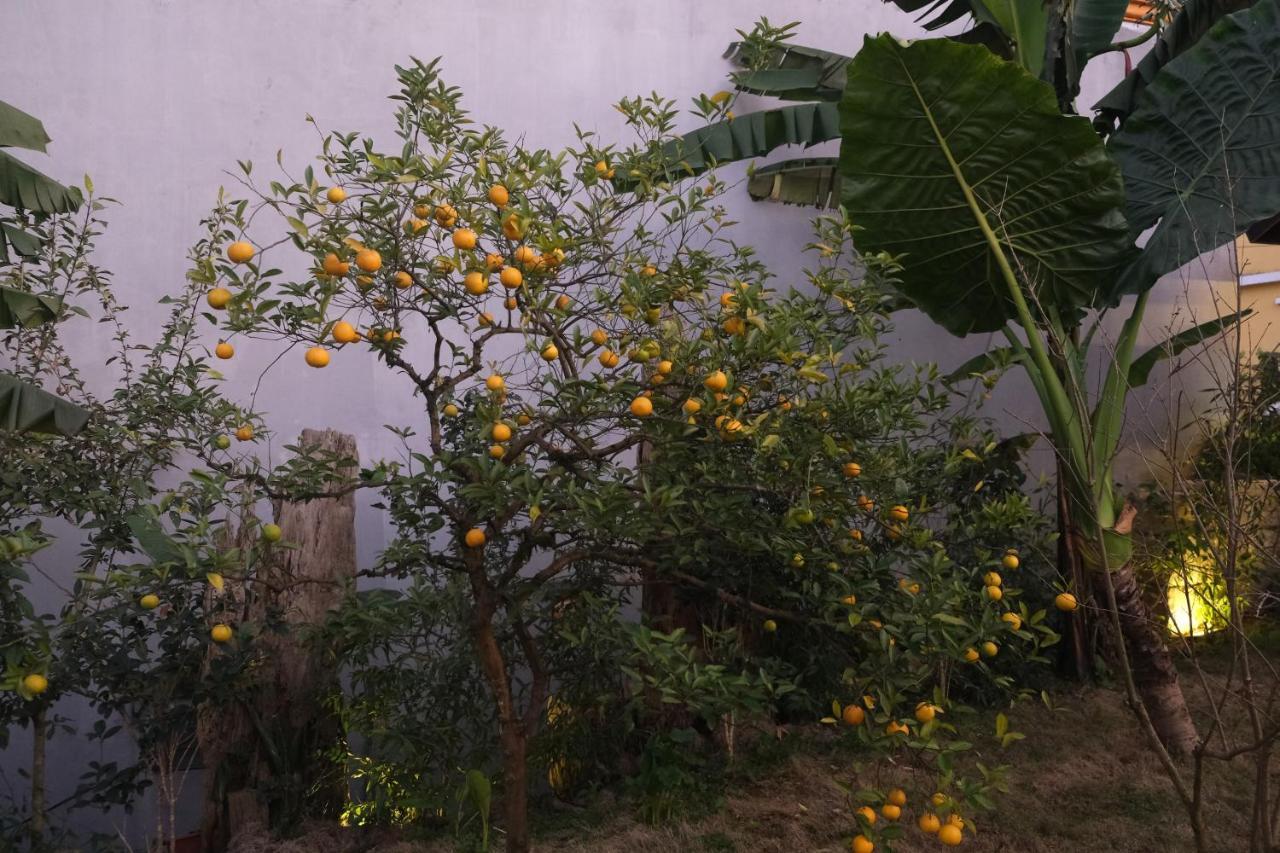 Sapa Charming Homestay Kültér fotó